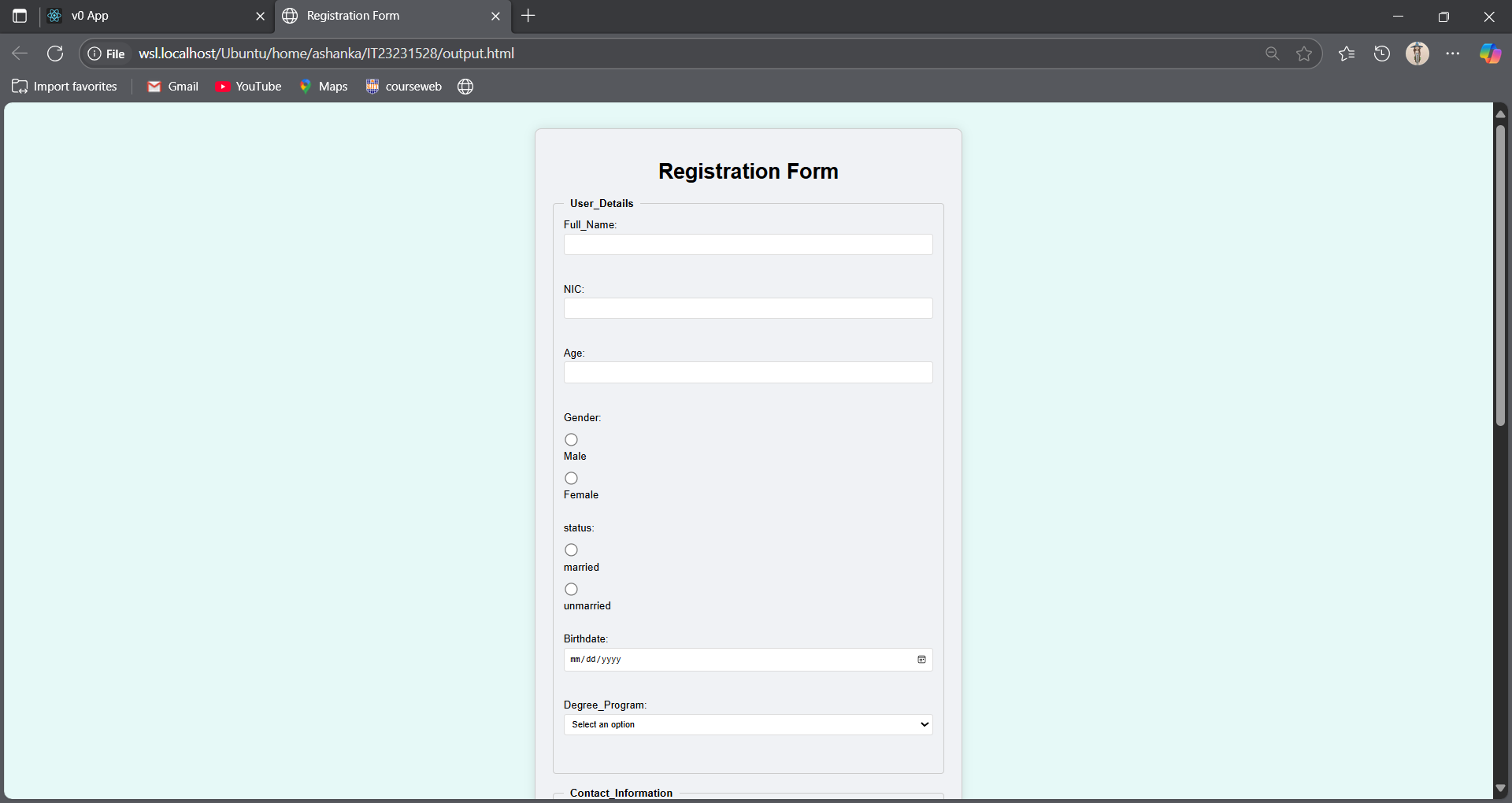 DSL and HTML Form Generator 💻